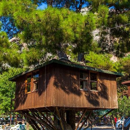 מלון Saklikent Gorge Club חדר תמונה